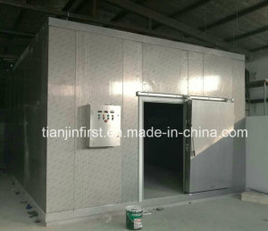 Cold Room for Fruit and Vegetable /Meat Cold Storage