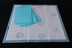 OEM Surface Printing Pet Dog Wee Wee Pad