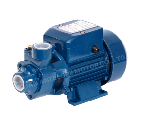 High Quality Surface Domestic Peripheral Water Pump with CE (QB-60)